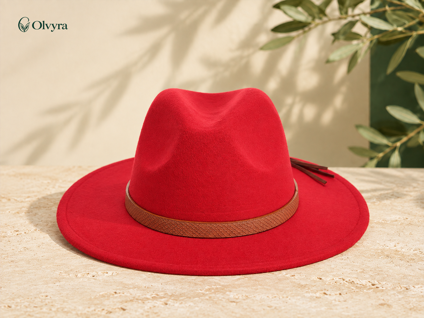 Wide-brim felted hat