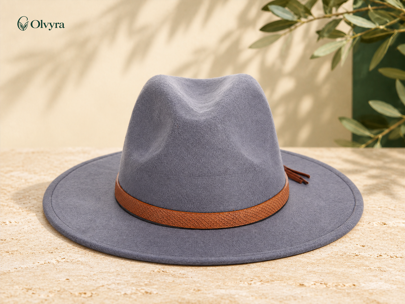 Wide-brim felted hat