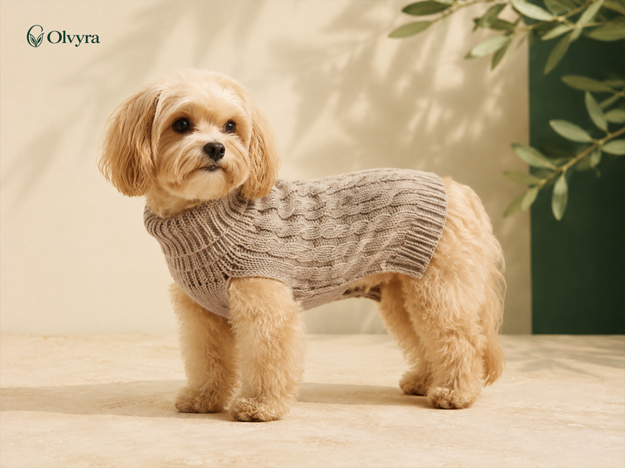 Pull chaud pour chien Olvyra — Beige.