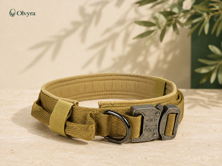 Collier réglable pour chien Olvyra — Jaune.