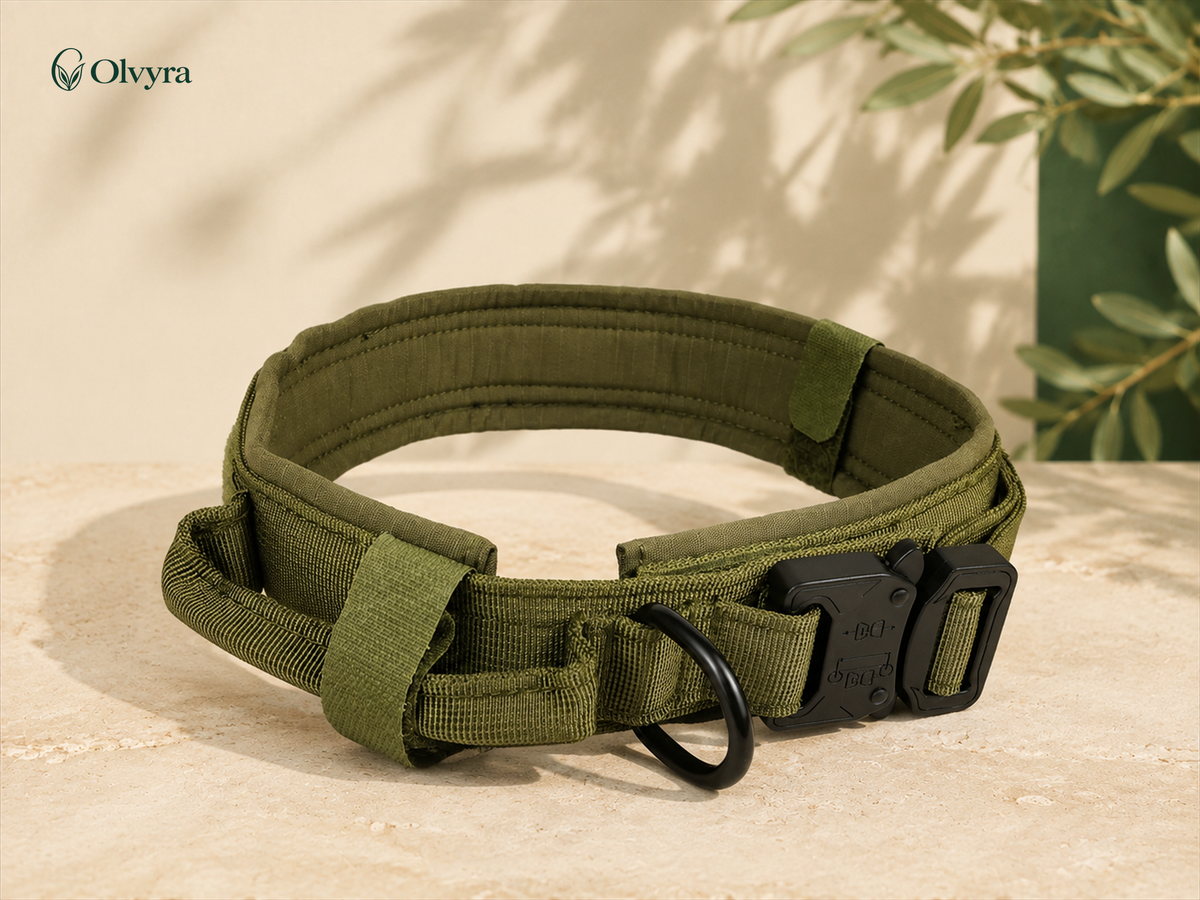 Adjustable dog collar