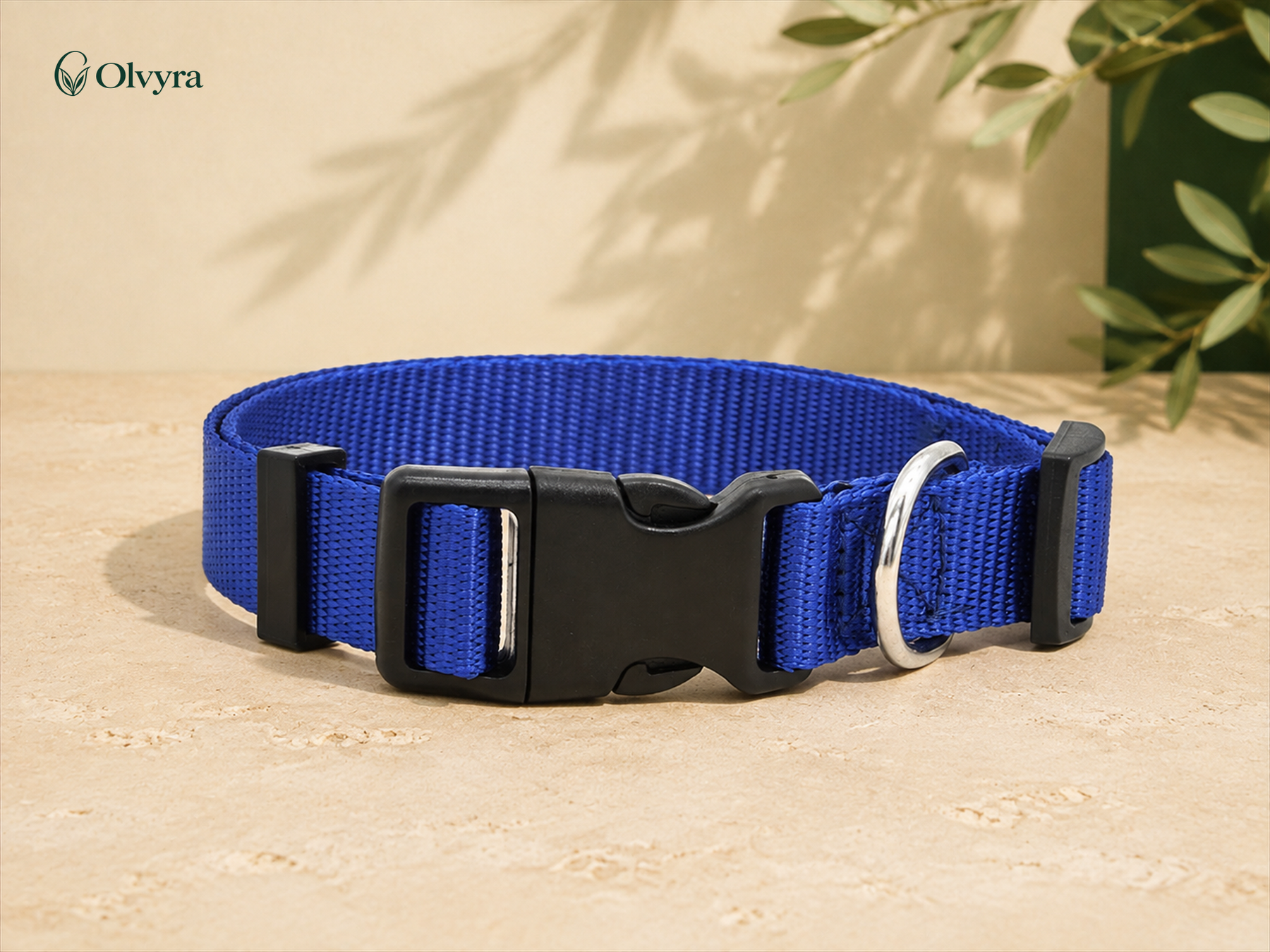 Colourful collar for dogs and cats