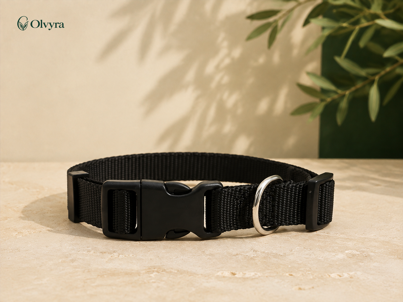 Colourful collar for dogs and cats