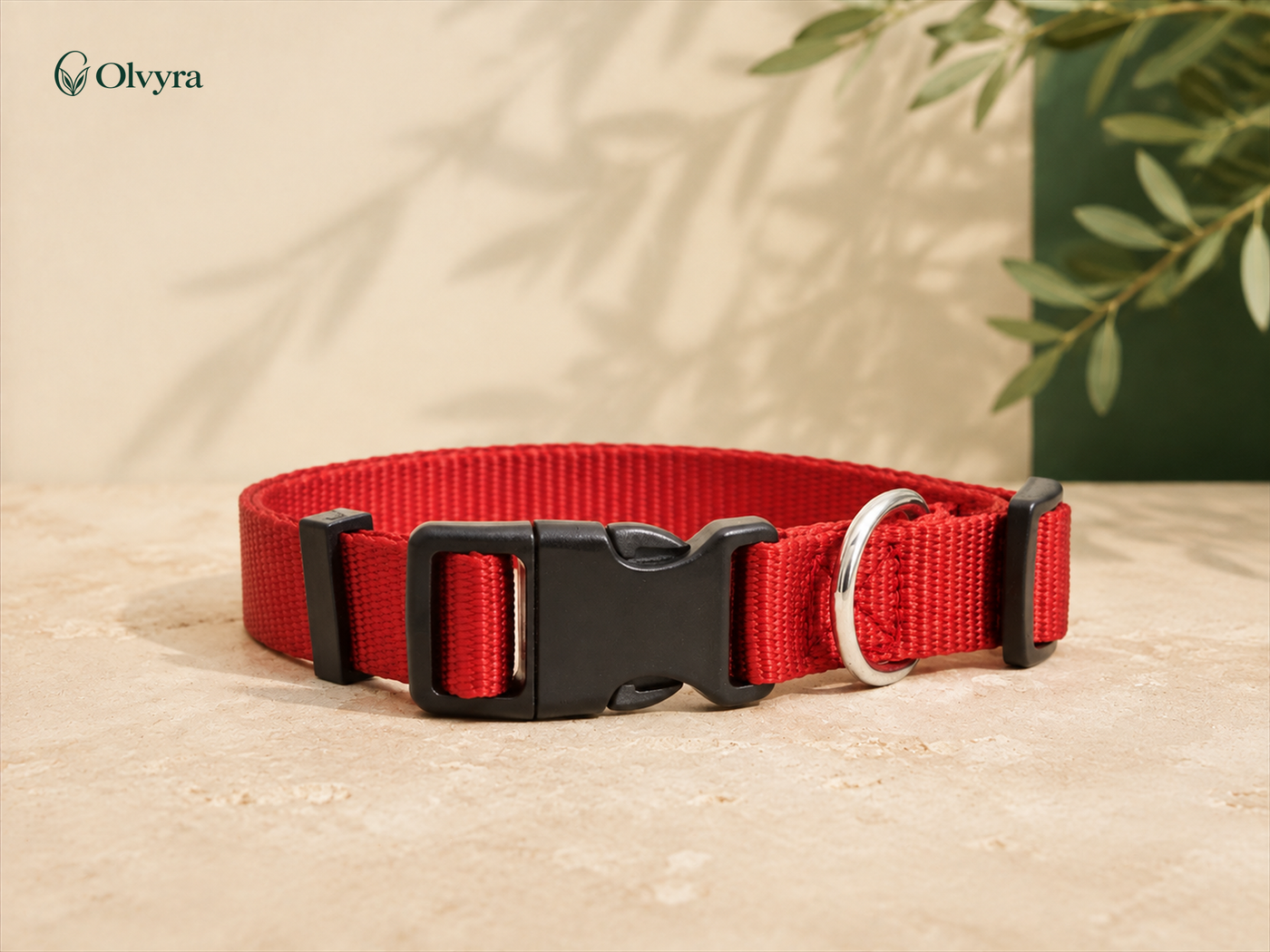 Colourful collar for dogs and cats
