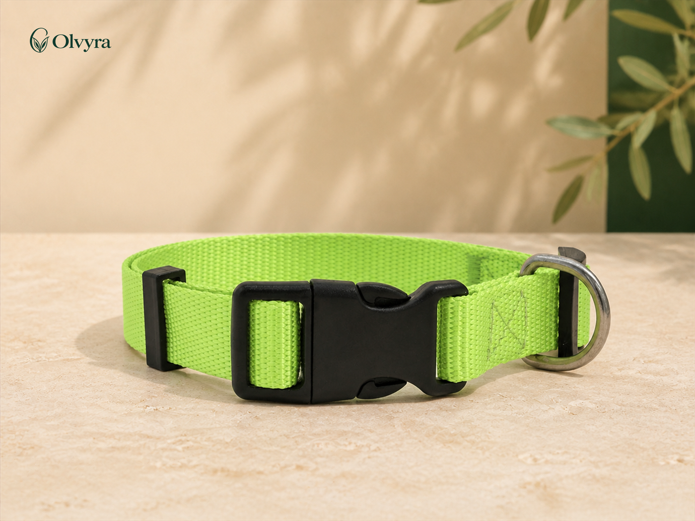 Colourful collar for dogs and cats