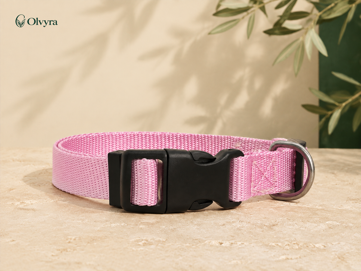 Colourful collar for dogs and cats