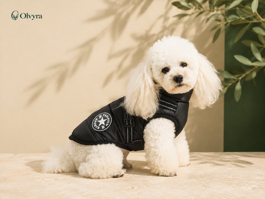 Manteau imperméable pour chien avec harnais Olvyra — Noir.