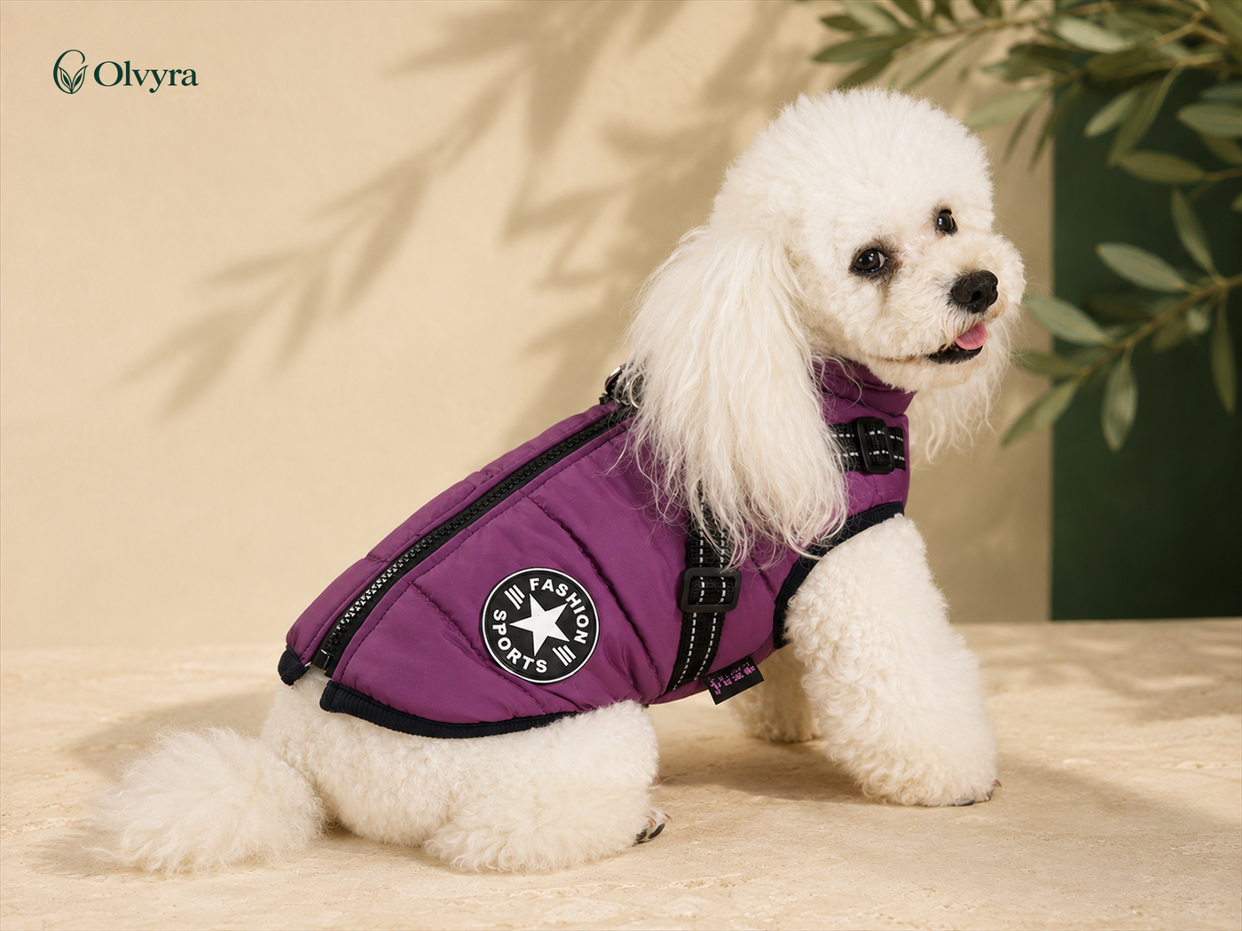 Waterproof dog coat with harness