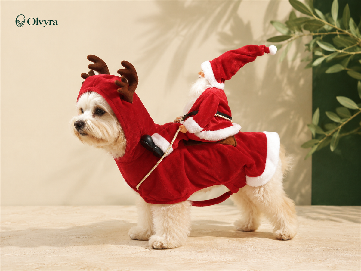 Christmas costume for dogs