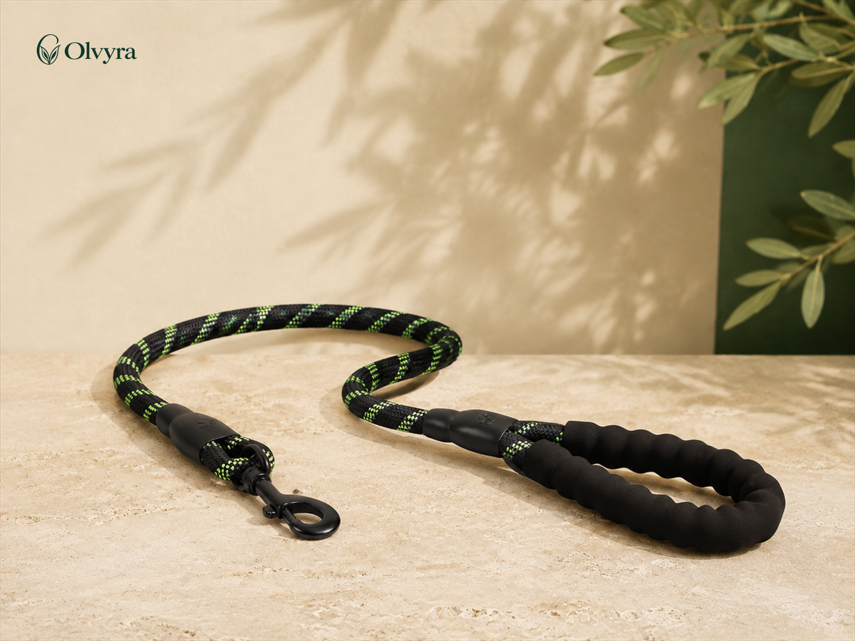 Reflective nylon dog leash