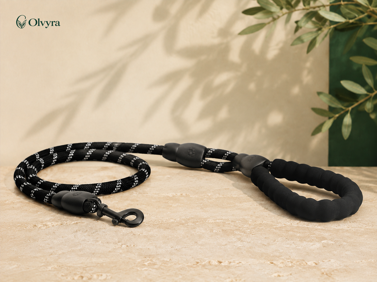 Reflective nylon dog leash