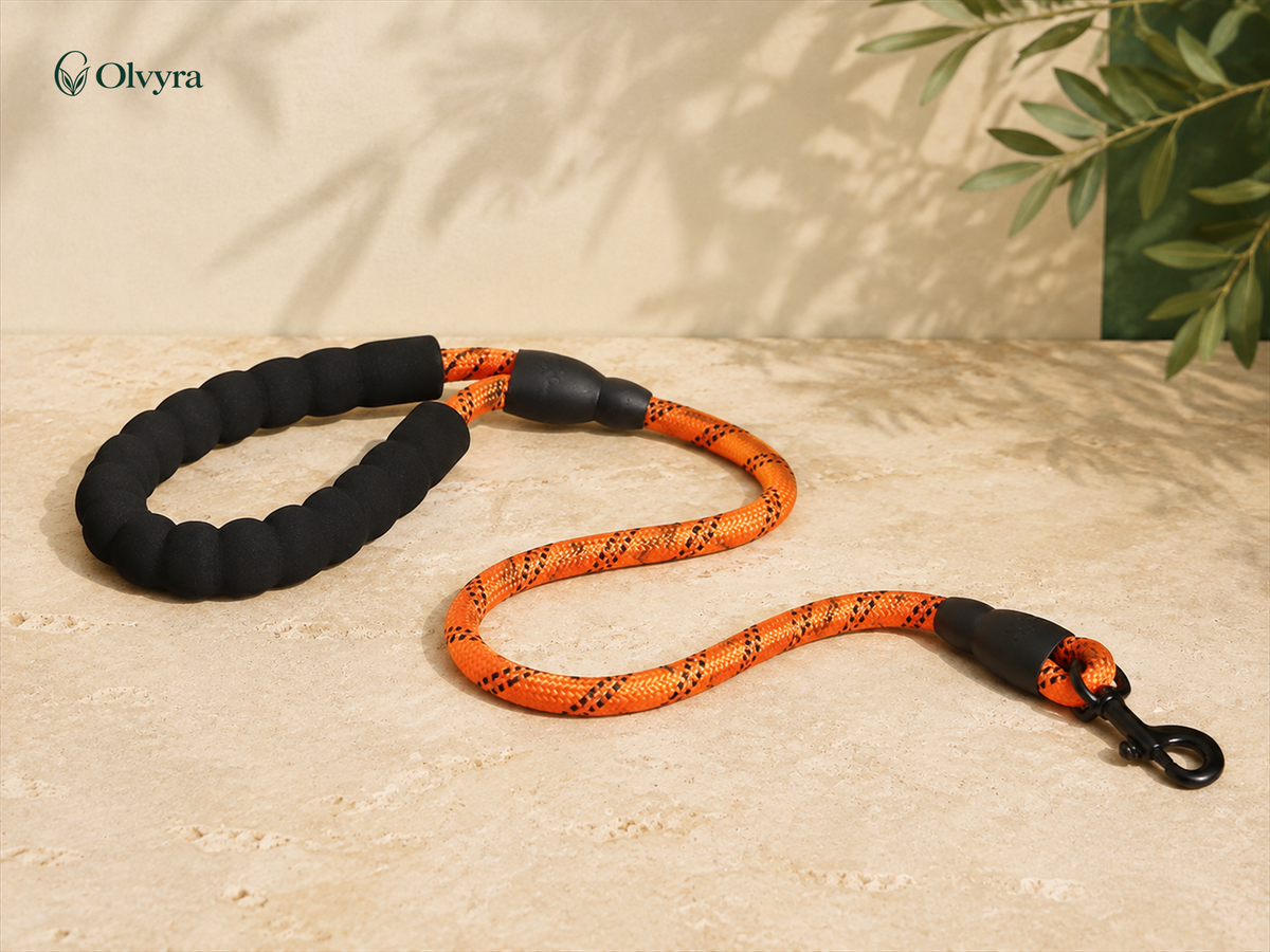 Reflective nylon dog leash