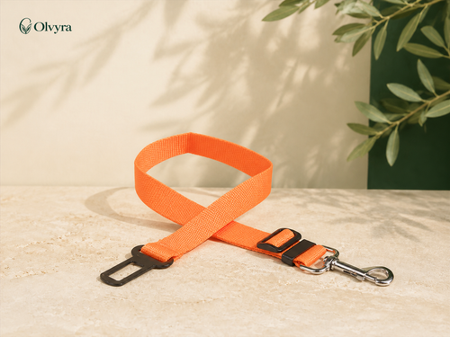Attache de ceinture pour chien Olvyra — Orange.