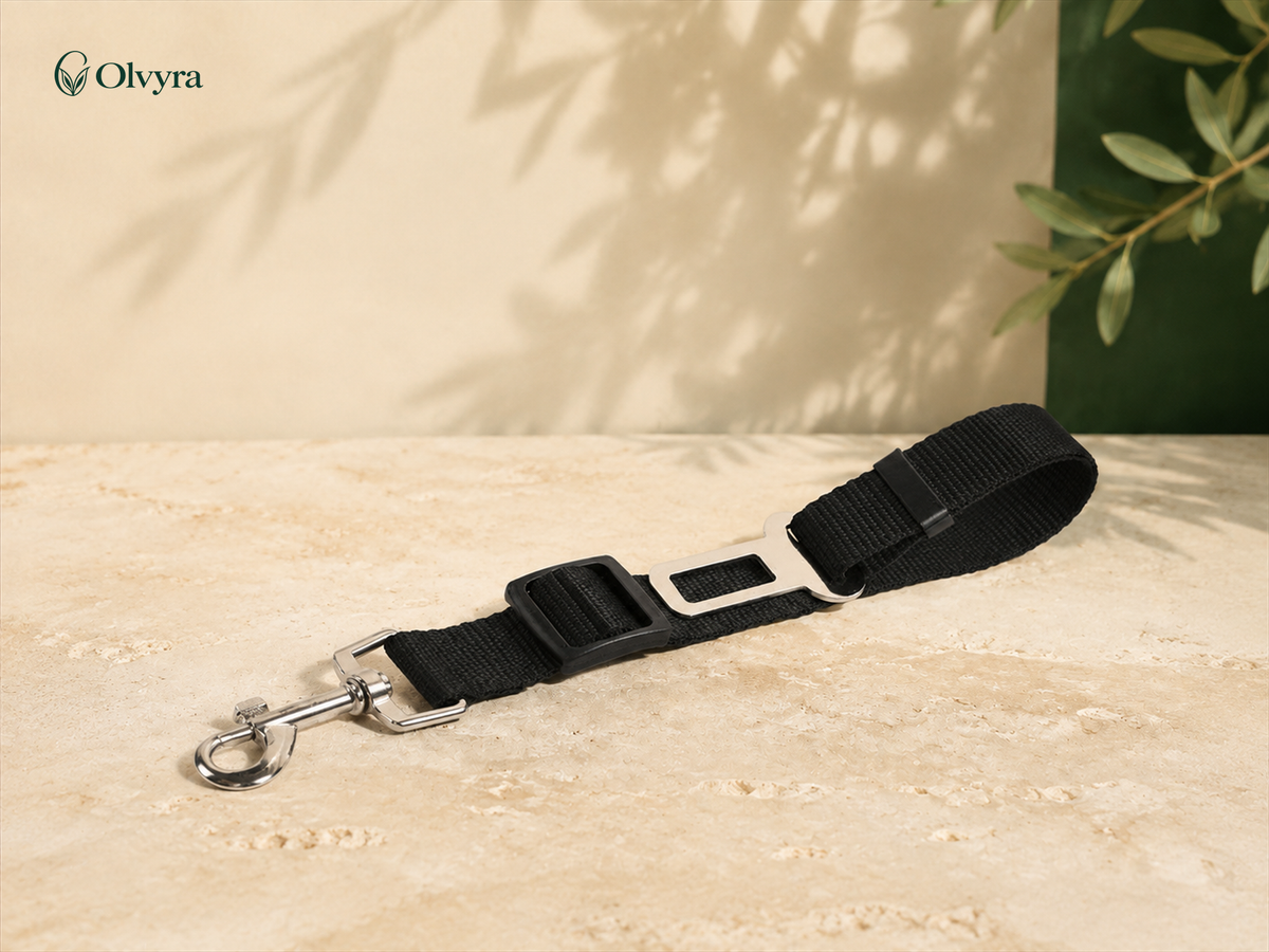 Dog seat-belt tether
