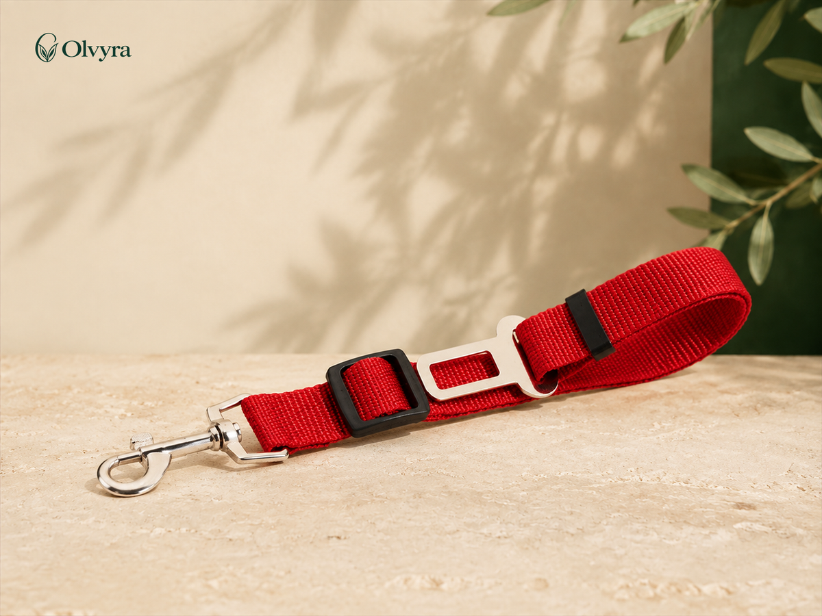 Dog seat-belt tether