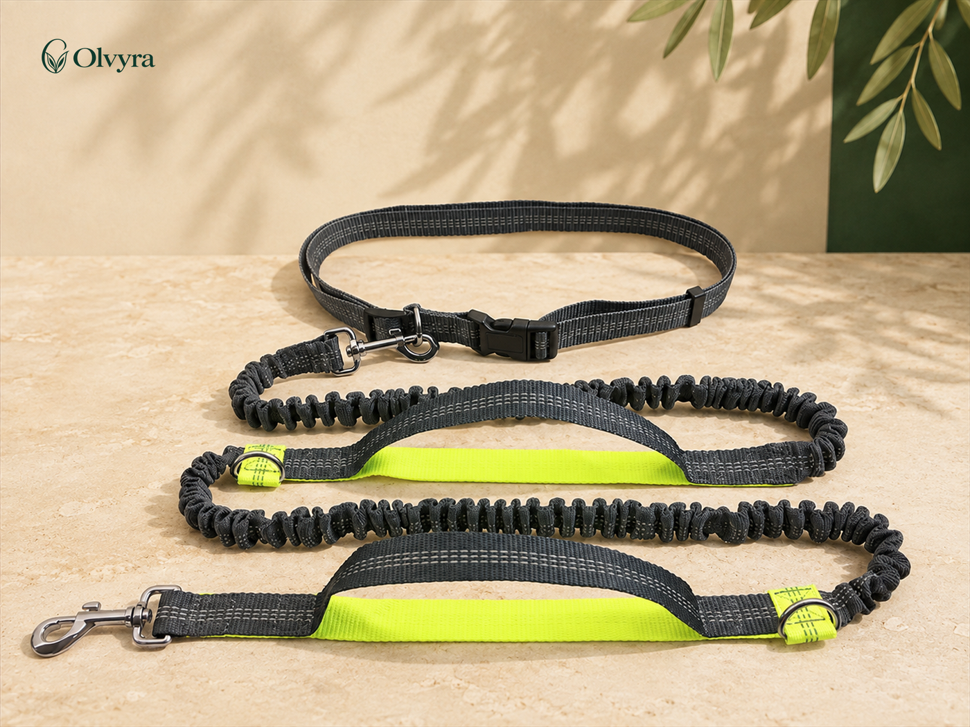 Elastic hands-free running leash