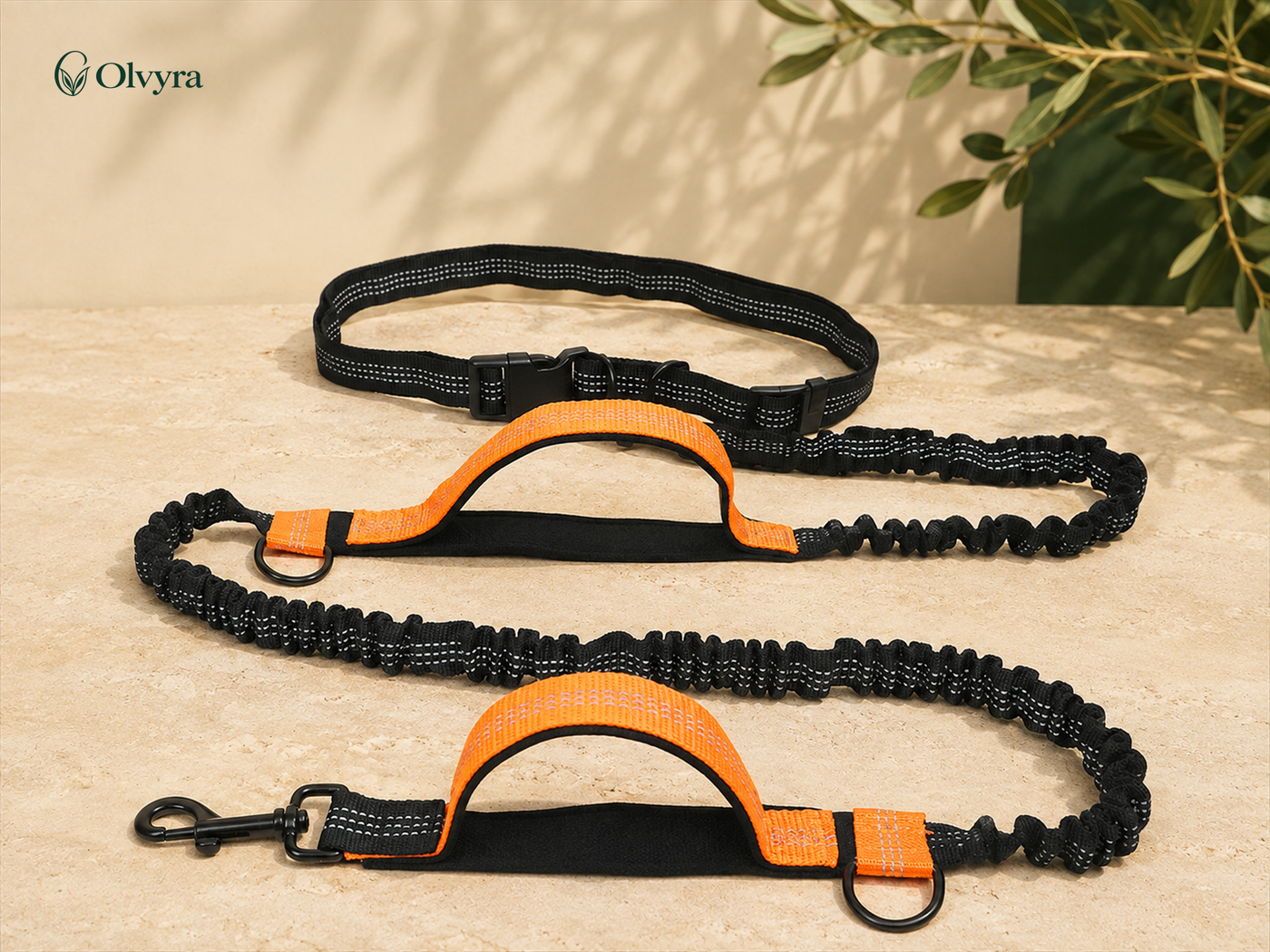Elastic hands-free running leash