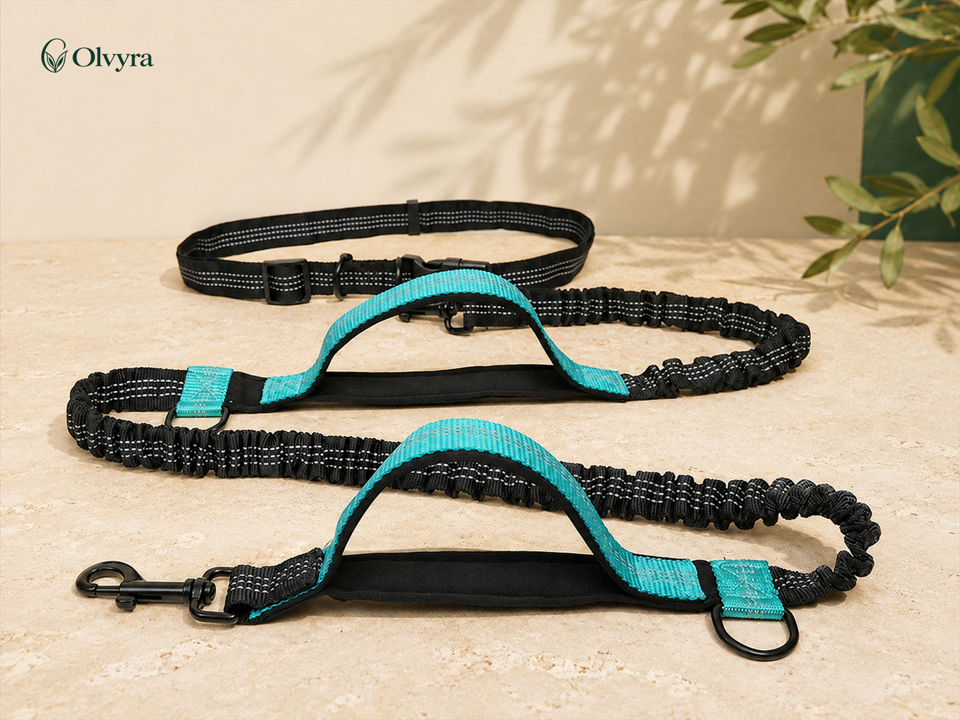 Elastic hands-free running leash