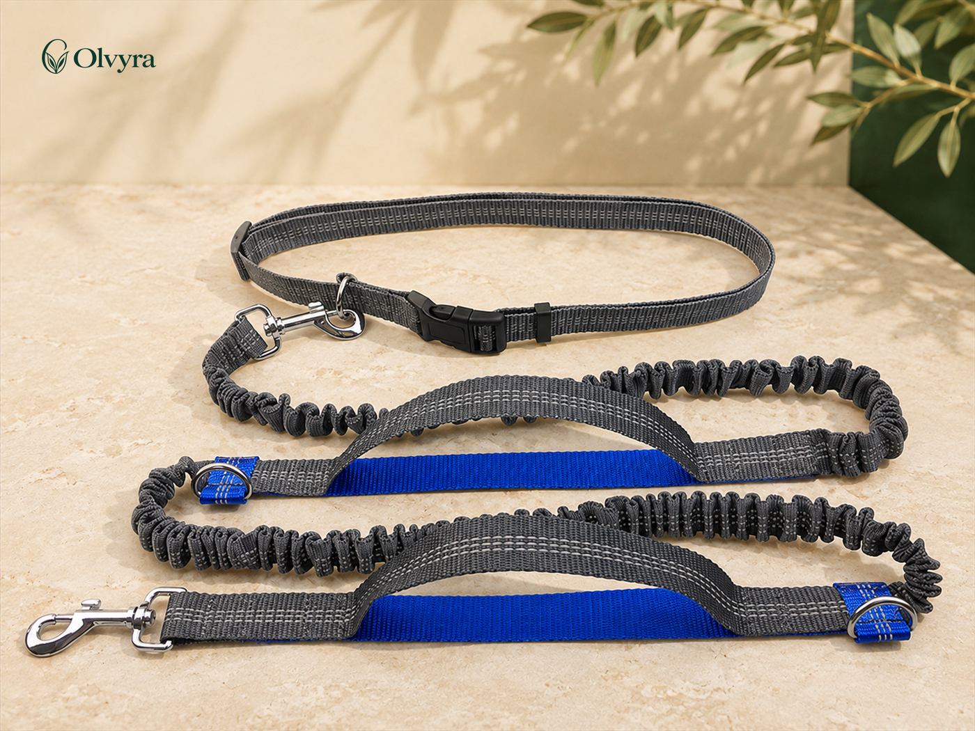 Elastic hands-free running leash