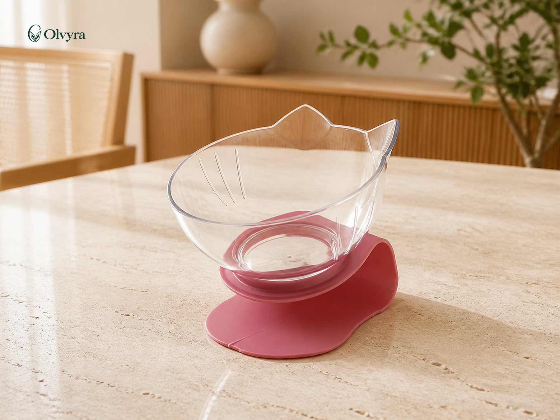 Transparent raised bowl for cats