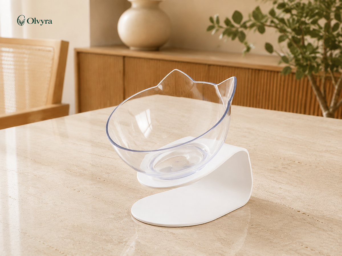 Transparent raised bowl for cats