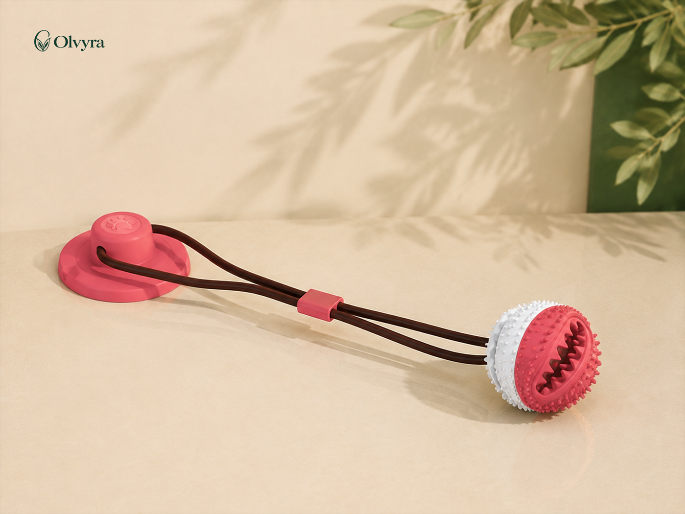 Suction-cup dog toy
